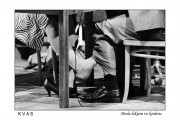 Drcla loktem vo kredenc, 4.3.2012